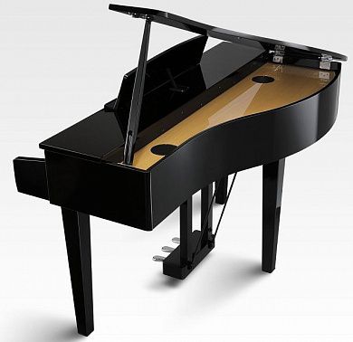 Цифровое пианино KAWAI DG30 EP