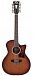 Электроакустика D'Angelico Premier Fulton Caramel Burst