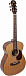 Акустическая гитара ARIA ADF-01 N