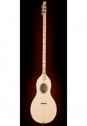 АКУСТИЧЕСКАЯ TRAVEL-ГИТАРА WASHBURN RO5N