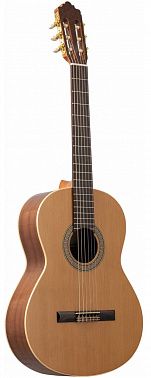 Классическая гитара Altamira N100+