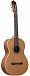 Классическая гитара Altamira N100+