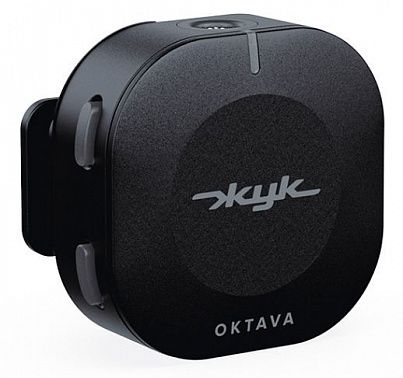 Радиосистема Октава ZHUK-1-CH Жук-1-Ч