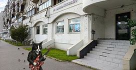 Наш НОВЫЙ МАГАЗИН: СПб, м. Проспект Просвещения!