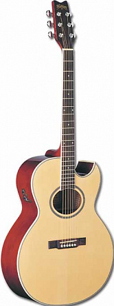 ЭЛЕКТРОАКУСТИЧЕСКАЯ ГИТАРА WASHBURN EA10