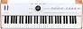 USB/MIDI-клавиатура ARTURIA Astrolab 88