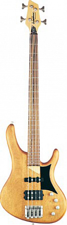 БАС-ГИТАРА WASHBURN RB2002