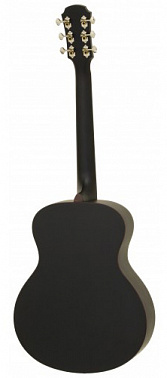 Акустическая гитара ARIA-151 MTBK