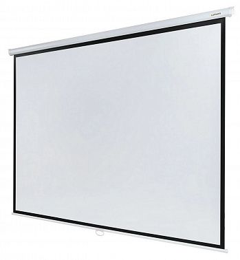 Экран Lumien Eco Picture LEP-100113