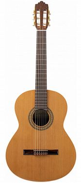 Классическая гитара Altamira N100+