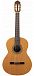 Классическая гитара Altamira N100+