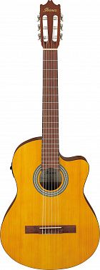 Электроакустика IBANEZ GA3ECE-OAM