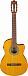 Электроакустика IBANEZ GA3ECE-OAM