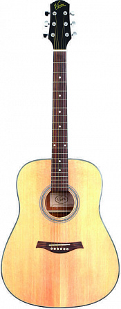 ГИТАРА АКУСТИЧЕСКАЯ VISION ACOUSTIC 10 (CD-02)
