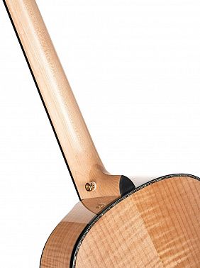 Электроакустика Cort Gold-Passion-WCASE-NAT