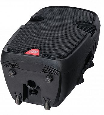 Акустическая система Leem PR-12HR