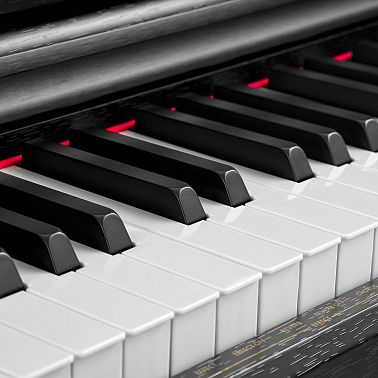 Цифровое пианино MUZPLANET YDP-145B