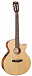 Электроакустическая гитара CORT CEC3-NS