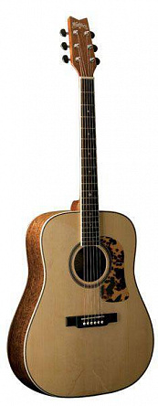АКУСТИЧЕСКАЯ ГИТАРА WASHBURN D12SSPNTKNAT