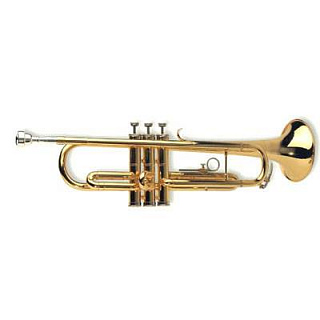 ТРУБА С КЕЙСОМ MAXTONE TTC-102