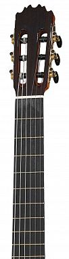 Классическая гитара Martinez MM12
