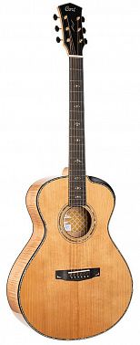 Электроакустика Cort Gold-Passion-WCASE-NAT