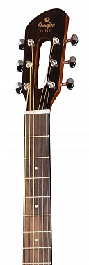 Акустическая гитара PRODIPE JMFSGA200