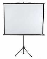 Экран Lumien Eco View LEV-100110