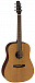 Акустическая гитара BATON ROUGE L1C/D