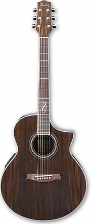 ЭЛЕКТРОАКУСТИЧЕСКАЯ ГИТАРА  IBANEZ EW20WNE NT