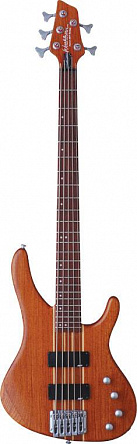 БАС-ГИТАРА WASHBURN FORCE 5