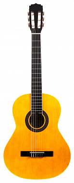 Классическая гитара ARIA FIESTA FST-200 N