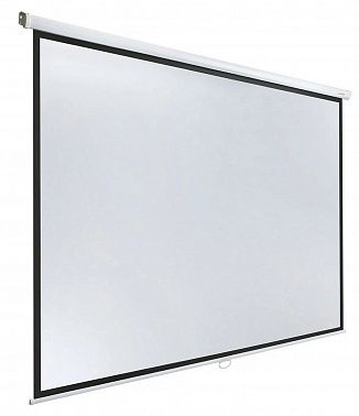 Экран Lumien Eco Picture LEP-100113