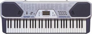 СИНТЕЗАТОР CASIO CTK-491
