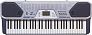 СИНТЕЗАТОР CASIO CTK-491