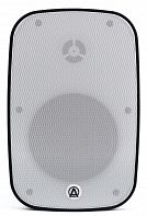 Акустическая система AuraSonics DENSE-5T-WH