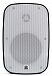 Акустическая система AuraSonics DENSE-5T-WH