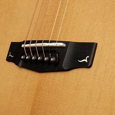 Электроакустика Cort Gold-Edge-WCASE-NAT