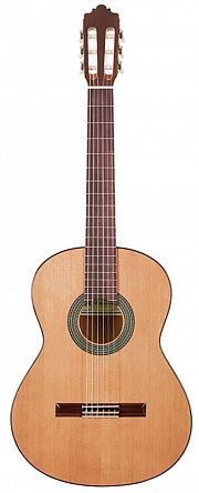 Классическая гитара Altamira N200+
