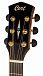 Электроакустика CORT Cut-Craft-Limited-WCASE-N