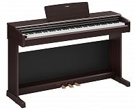 Цифровое пианино YAMAHA YDP-146R Arius