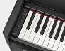 Цифровое пианино YAMAHA YDP-S55B Arius