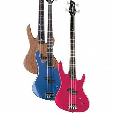 БАС-ГИТАРА WASHBURN XB100