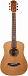 Уменьшенная акустическая гитара BATON ROUGE AR11C/TB