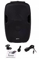 Акустическая система GEMINI AS-15TOGO