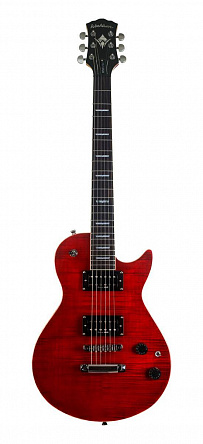 ЭЛЕКТРОГИТАРА WASHBURN WMIPRO FTR
