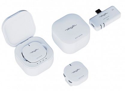 Радиосистема Октава ZHUK-2-B Жук-2-Б