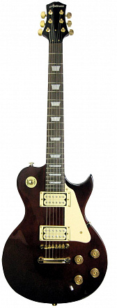 ЭЛЕКТРОГИТАРА ASHTONE AE-600 MA