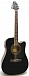 Электроакустическая гитара GREG BENNETT GD100SCE/BK