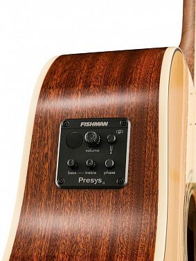 Электроакустика Root Note RD300CE-NT